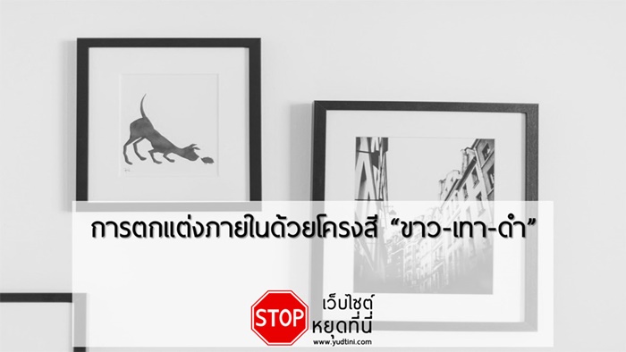 การตกแต่งภายในด้วยโครงสีแบบ ขาว-เทา-ดำ