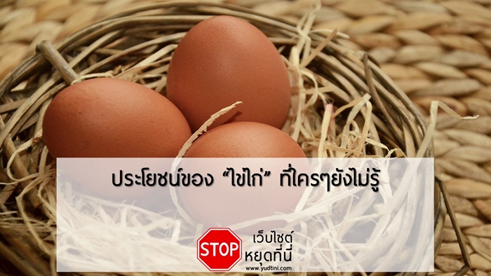 ประโยชน์ของไข่ไก่ที่ใครๆยังไม่รู้