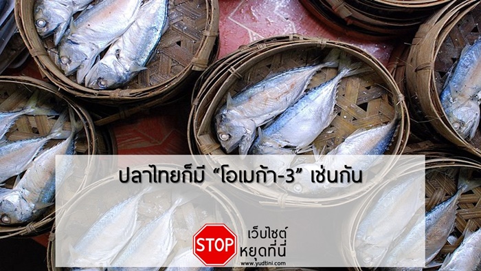 ปลาไทย ก็มีโอเมก้า-3 เช่นกัน